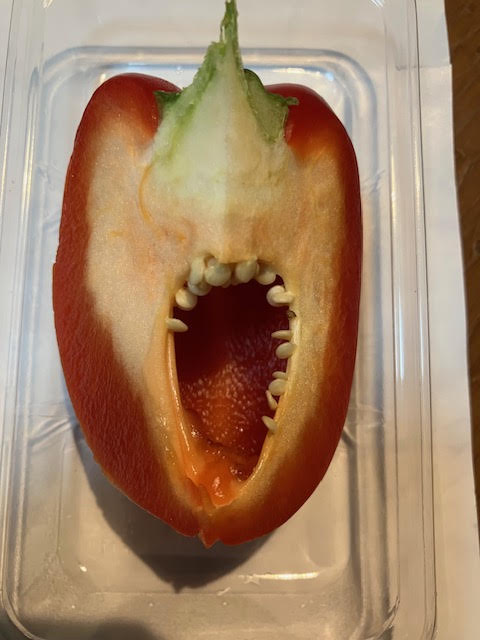 記事画像